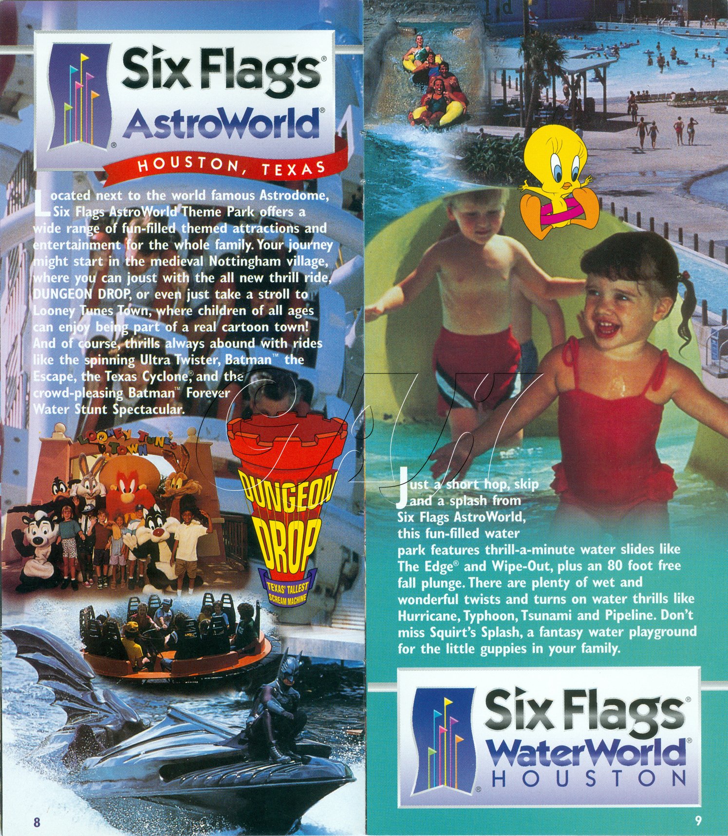 Six Flags Great Adventure & Wild Safari 2010 Guide